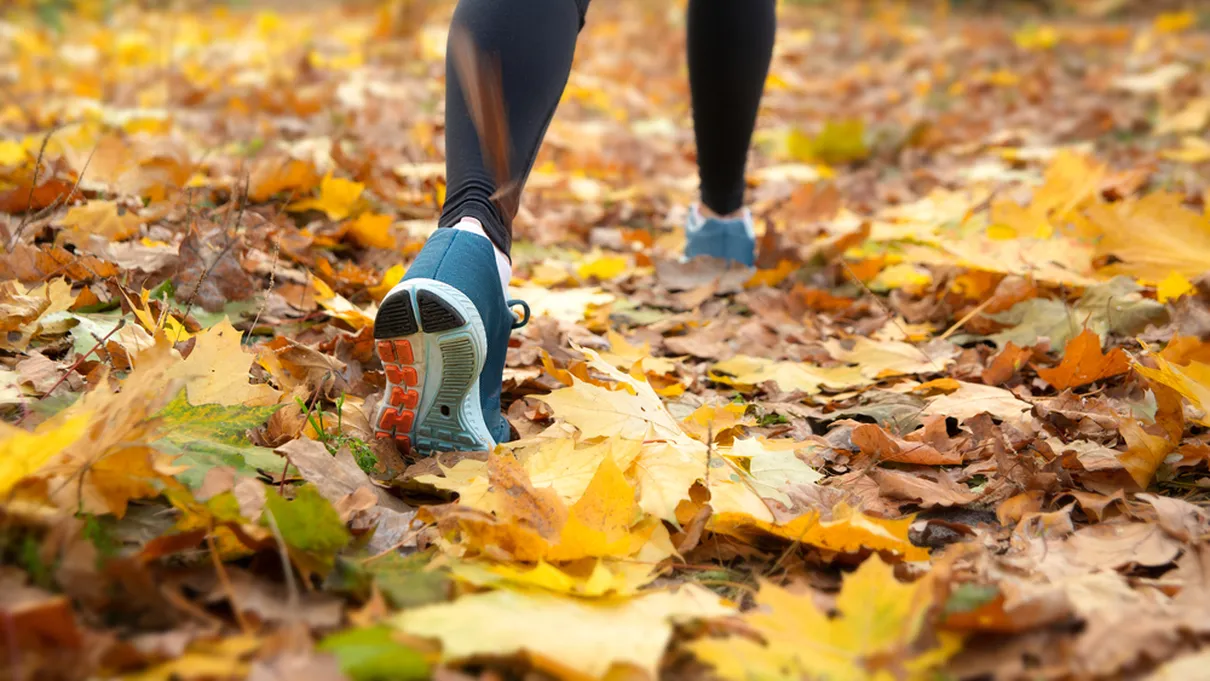 Les meilleurs itinéraires pour la course à pied à Montréal : où courir en ville ?