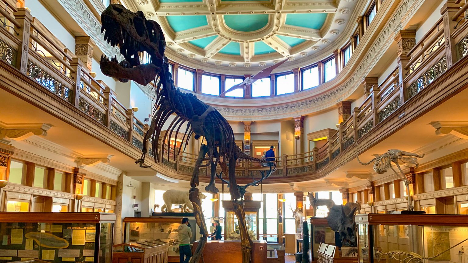 Découvrez les meilleurs musées à Montréal : un voyage au cœur de l’histoire, de l’art et de la science